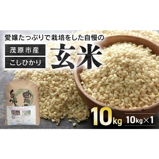 ふるさと納税 玄米 千葉県 茂原市 令和7年産 茂原市産こしひかり玄米10kg ふるさと納税 コシヒカリ 米 玄米 こめ 千葉県 茂原市
