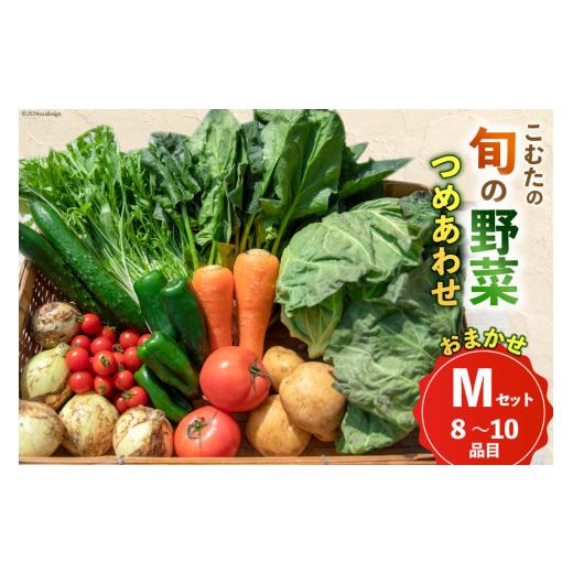 ふるさと納税 セット・詰合せ 長崎県 島原市 AI022 10〜5月限定出荷 こむたの旬の野菜つめあわせ(8〜10品目)おまかせ M セット 野菜 やさい 旬 種類 人気 オス…の画像