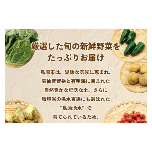 ふるさと納税 セット・詰合せ 長崎県 島原市 AI022 10〜5月限定出荷 こむたの旬の野菜つめあわせ(8〜10品目)おまかせ M セット 野菜 やさい 旬 種類 人気 オス…の画像