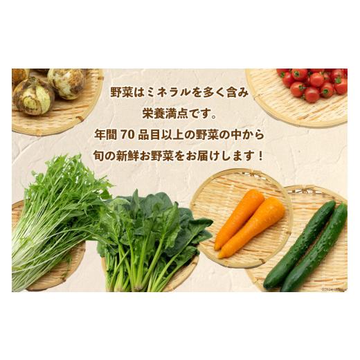 ふるさと納税 セット・詰合せ 長崎県 島原市 AI022 10〜5月限定出荷 こむたの旬の野菜つめあわせ(8〜10品目)おまかせ M セット 野菜 やさい 旬 種類 人気 オス…の画像