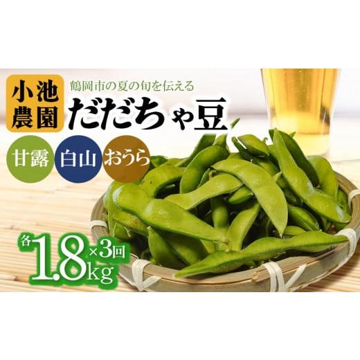 ふるさと納税 豆類 枝豆 山形県 鶴岡市 令和8年産先行予約 3回定期便 鶴岡の夏の旬を伝える 小池農園のだだちゃ豆 甘露・白山・おうら 1.8Kg(600g×3袋)K-8…