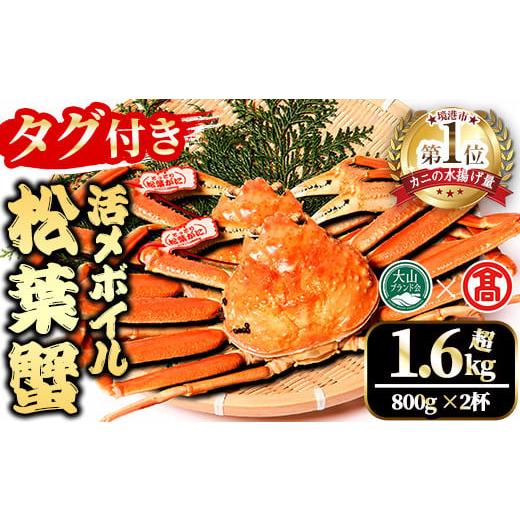 ふるさと納税 カニ 松葉ガニ 鳥取県 境港市 平日着 指定日不可 2025年11月〜2026年2月下旬発送予定 タグ付き 活〆ボイル松葉蟹2杯セット(大・800g以上×2杯) …