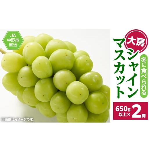 ふるさと納税 ぶどう マスカット 長野県 中野市 2026年発送 『冷蔵』12月出荷の大房シャインマスカット(2房1.3kg以上)JA中野市から直送 1143168