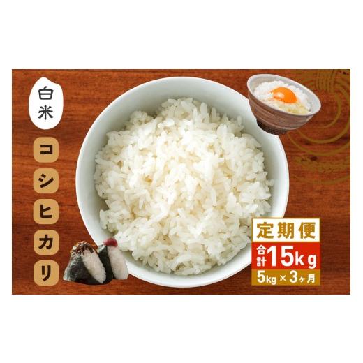 ふるさと納税 米 コシヒカリ 茨城県 笠間市 3カ月定期便 令和7年度 笠間産 コシヒカリ 5kg (5kg×3回 計15kg) 精米 定期便 米 白米 こめ コメ ご飯 ごはん 農…