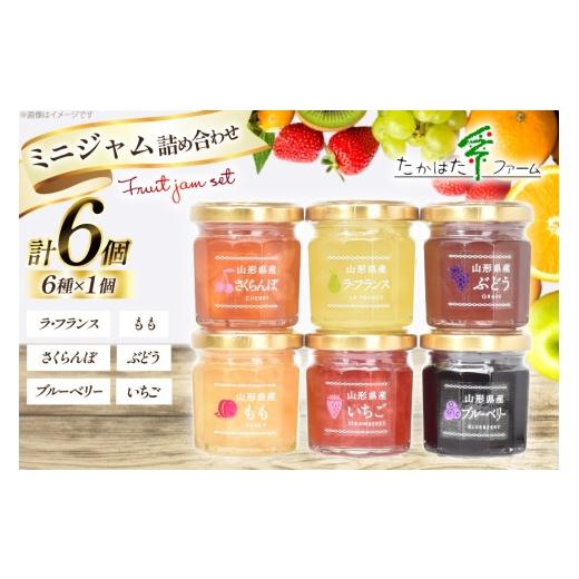 ふるさと納税 ジャム 山形県 高畠町 ジャム ミニジャム 6種 詰め合わせ セット たかはたファーム 山形県 高畠町 tk06ays680027 いちご 苺 イチゴ ストロベリー…_1