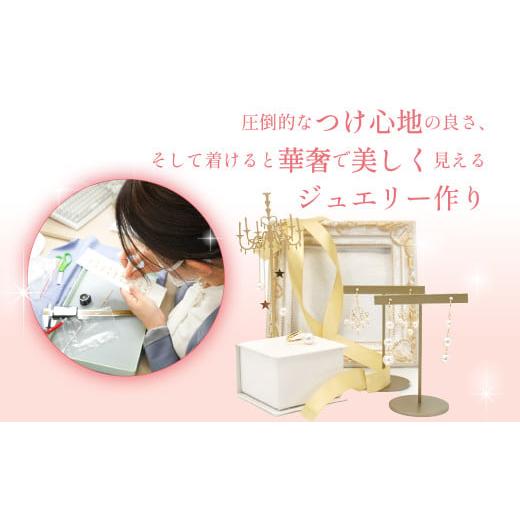 ふるさと納税 アクセサリー ネックレス 山梨県 笛吹市 プラチナ　バテイ　ネックレス 　255099 218-175の画像