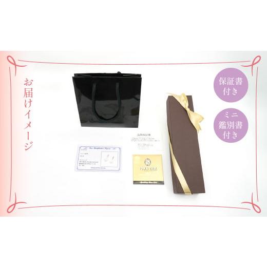 ふるさと納税 アクセサリー ネックレス 山梨県 笛吹市 プラチナ　バテイ　ネックレス 　255099 218-175の画像