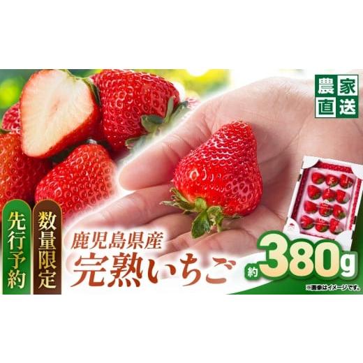 ふるさと納税 いちご 鹿児島県 鹿屋市 2691 予約受付 数量限定 鹿児島県産いちご 甘色 8〜24粒×1箱(品種:さがほのか/恋みのり) KN103-001-01