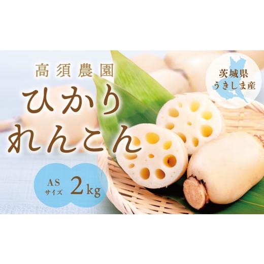 ふるさと納税 人参・大根・他根菜 茨城県 稲敷市 ひかりれんこん2kg (ASサイズ) 専用箱入|れんこん レンコン 蓮根 根野菜 浮島れんこん 1743