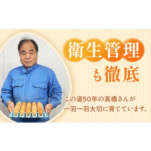 2026年最新】栃木県,卵のふるさと納税 人気お礼品ランキング（週間） | ふるさと納税サイト「さとふる」