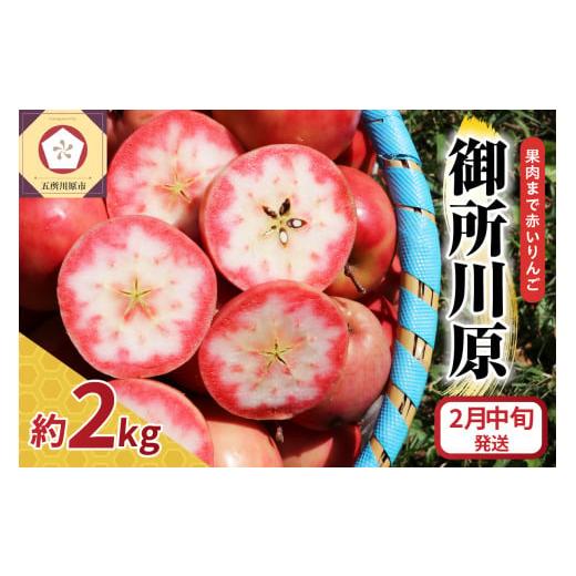 ふるさと納税 りんご 青森県 五所川原市 チョイス限定 果肉が赤いりんご 御所川原 小玉りんご 約2kg 訳あり 中まで赤〜いりんご 不揃い ワケアリ 林檎 青森 …