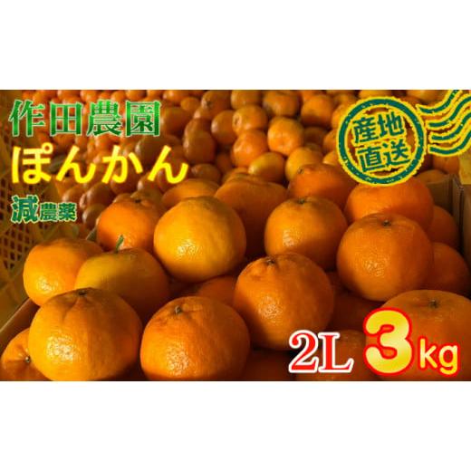 ふるさと納税 みかん・柑橘類 高知県 室戸市 秀品 作田農園直送 ポンカン2Lサイズ 3kg _ 減農薬 有機肥料 ポンカン ぽんかん くだもの 果物 フルーツ 柑橘 か…