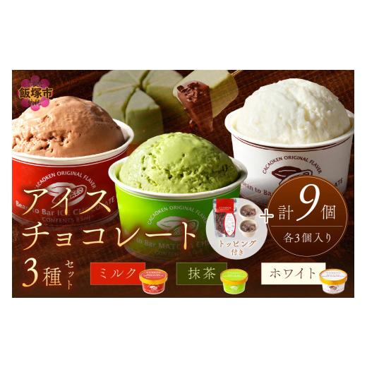 ふるさと納税 菓子 アイス 福岡県 飯塚市 カカオ研究所 アイスチョコレートセット(9個入り) C4-010 チョコレート ビーントゥバー Bean to Bar カカオ アイス …の画像