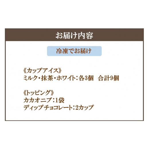 ふるさと納税 菓子 アイス 福岡県 飯塚市 カカオ研究所 アイスチョコレートセット(9個入り) C4-010 チョコレート ビーントゥバー Bean to Bar カカオ アイス …の画像