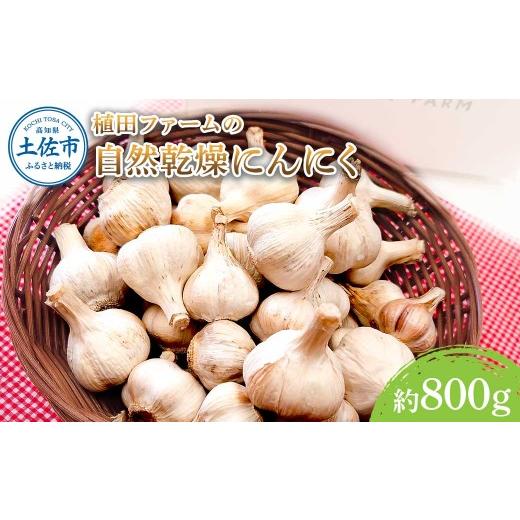 ふるさと納税 野菜類 高知県 土佐市 植田ファームの自然乾燥にんにく800g 800グラム ニンニク ガーリック おつまみ お酒 料理 醤油漬け ガーリックオイル ペペ…