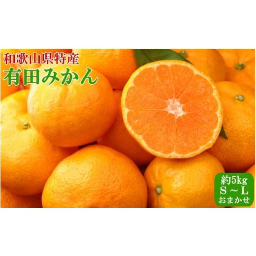 ふるさと納税 みかん・柑橘類 デコポン 和歌山県 串本町 秀品 和歌山有田みかん 約5kg(S〜Lサイズおまかせ) 2026年11月中旬〜2027年1月中旬頃より順次発送…