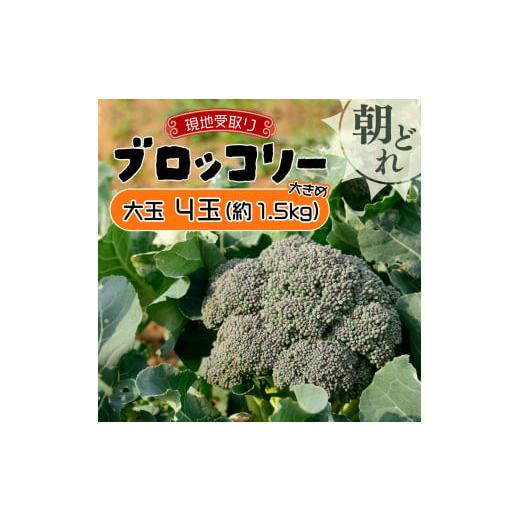 ふるさと納税 野菜類 北海道 岩見沢市 引換券(現地受取) 市場の目利き 北海道岩見沢産ブロッコリー 大玉4玉 現地受取