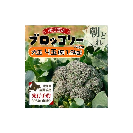 ふるさと納税 野菜類 北海道 岩見沢市 通常配送 市場の目利き 北海道岩見沢産ブロッコリー 大玉4玉 通常配送