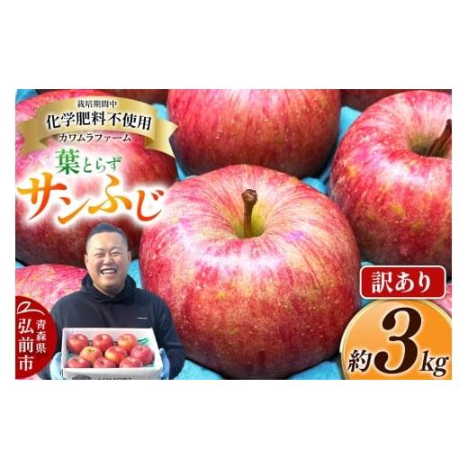 ふるさと納税 りんご 青森県 弘前市 寄附金額見直しました りんご 葉とらず サンふじ 約3kg カワムラファーム 訳あり 青森 果物 フルーツ 林檎 リンゴ くだも…