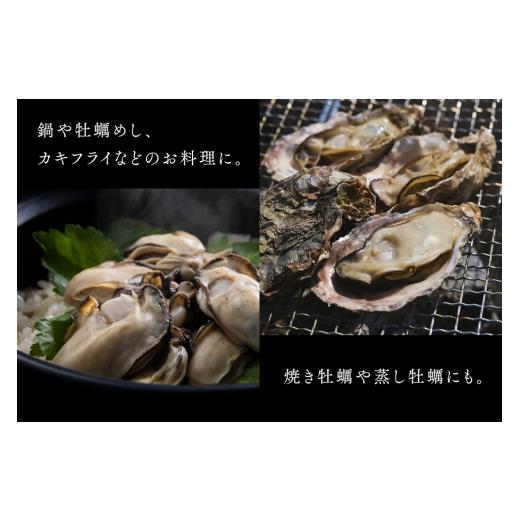 ふるさと納税 牡蠣 生牡蠣 広島県 大竹市  2027年1月8日より送りとどける くばおう 広島県大竹市産 殻付き添い人牡蠣 20個 約4人前｜広島 生 焼き 丸焼き BBQ かき 大…