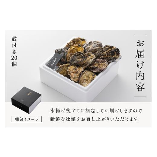 ふるさと納税 牡蠣 生牡蠣 広島県 大竹市  2027年1月8日より送りとどける くばおう 広島県大竹市産 殻付き添い人牡蠣 20個 約4人前｜広島 生 焼き 丸焼き BBQ かき 大…