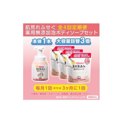 ふるさと納税 雑貨・日用品 奈良県 橿原市 毎月1回お届け 全4回定期便 肌荒れを防ぐ薬用無添加 泡ボディソープセット 無添加生活シリーズ 北海道・沖縄・…