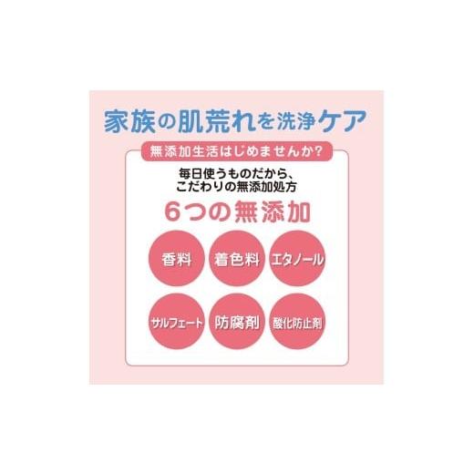 ふるさと納税 雑貨・日用品 奈良県 橿原市  毎月1回お届け 全4回定期便 肌荒れを防ぐ薬用無添加　泡ボディソープセット　 無添加生活シリーズ 北海道・沖縄・…_3
