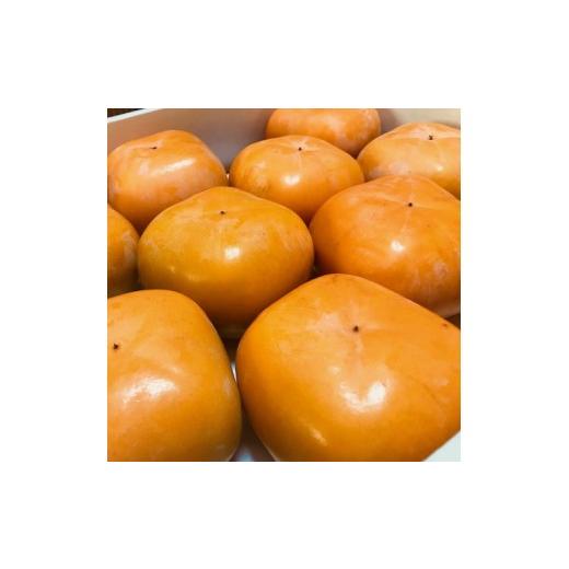 ふるさと納税 果物類 柿 和歌山県 新宮市 先行予約 和歌山特産品 クイーンパーシモン 4L〜7Lサイズ 約4kg入り GO-06 2026年10月下旬〜11月上旬頃に順次…