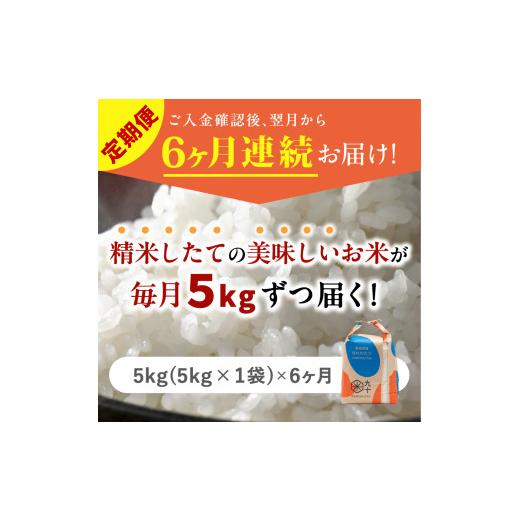 ふるさと納税 米 青森県 五所川原市  定期便6ヶ月 米 5kg はれわたり （精米） 令和7年産 青森県産 五所川原市 白米 お米 晴れ渡り 晴れわたり harewatari 5キ…_2