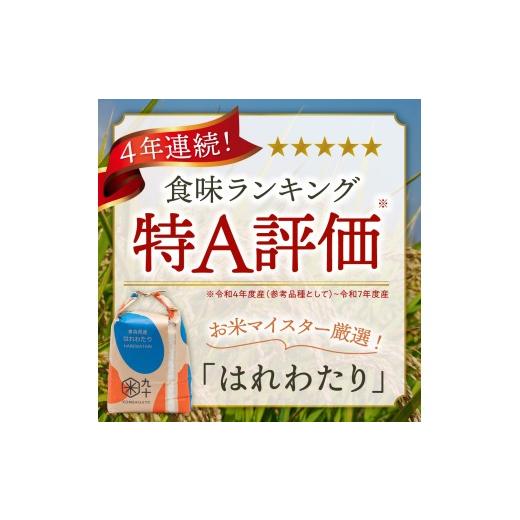 ふるさと納税 米 青森県 五所川原市  定期便6ヶ月 米 5kg はれわたり （精米） 令和7年産 青森県産 五所川原市 白米 お米 晴れ渡り 晴れわたり harewatari 5キ…_3