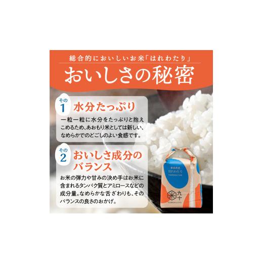ふるさと納税 米 青森県 五所川原市  定期便6ヶ月 米 5kg はれわたり （精米） 令和7年産 青森県産 五所川原市 白米 お米 晴れ渡り 晴れわたり harewatari 5キ…_5