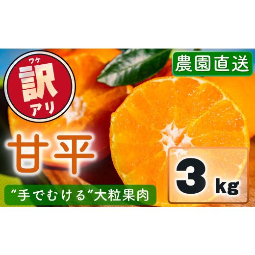 ふるさと納税 みかん・柑橘類 愛媛県 松山市 2027年2月上旬頃から順次発送 訳あり 農園直送 甘平 3kg | かんぺい 甘平 みかん 柑橘 mikan ミカン 蜜柑 希少 …