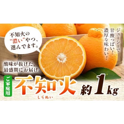 ふるさと納税 みかん・柑橘類 デコポン 和歌山県 日高町 不知火 訳あり デコポン と 同品種 今が旬 みかん ご家庭用 約1kg+250g(傷み補償) 池田鹿蔵農園 @日…