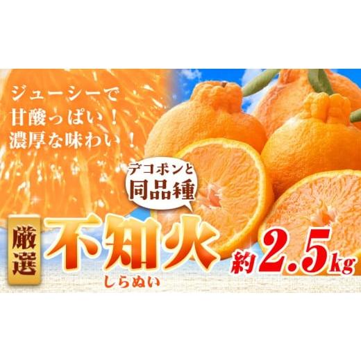ふるさと納税 みかん・柑橘類 デコポン 和歌山県 日高町 プリッと濃厚 旬を厳選 不知火 デコポン 同品種 みかん 選べる 約2.5kg+250g(傷み補償) 池田鹿蔵農…