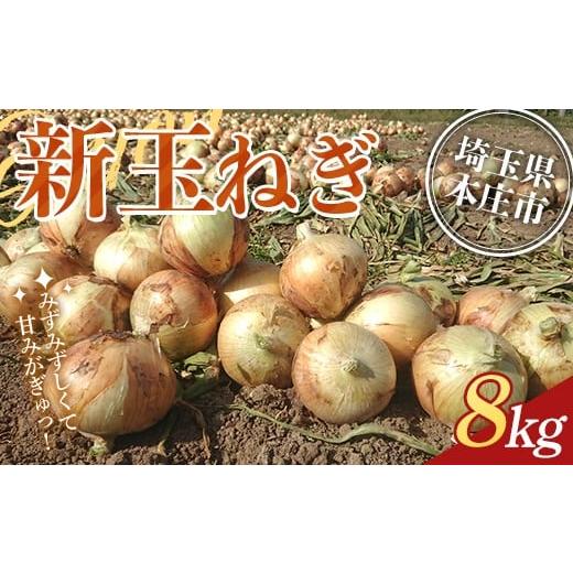 ふるさと納税 野菜類 玉ねぎ 埼玉県 本庄市 2026年先行予約 埼玉県本庄市産 小平ブランド 新玉ねぎ 8kg 2026年5月中旬から順次発送 野菜 やさい 玉葱 たまね…