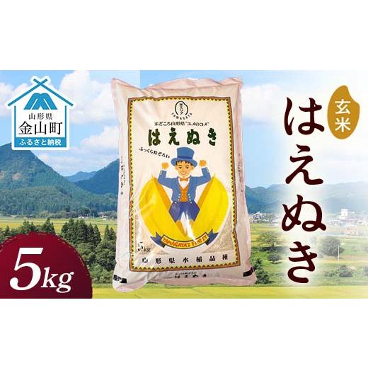 ふるさと納税 米 はえぬき 山形県 金山町 令和7年産 金山産米 はえぬき 玄米 5kg 米 お米 ご飯 玄米 ブランド米 送料無料 東北 山形 金山町