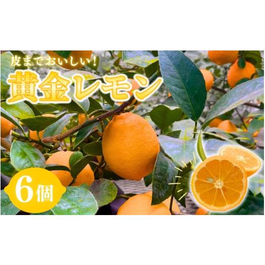 ふるさと納税 みかん・柑橘類 レモン 宮城県 涌谷町 皮まで美味しい 黄金レモン 6個セット | レモン れもん 檸檬 柑橘 フルーツ 果物 くだもの 国産 高糖度 酸…