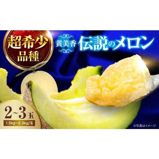 ふるさと納税 メロン メロン青肉 愛媛県 大洲市 メロン 先行予約 2026年6月下旬から順次発送 メロン 黄美香 2から3玉 ふるさと納税 先行予約 2玉 3玉 2025年発…