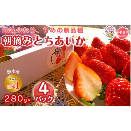 ふるさと納税 いちご 栃木県 宇都宮市 2月発送 朝摘み とちあいか 4パックセット | いちご 栃木 とちあいか 甘い 糖度 旬 新鮮 フルーツ 果物 アレンジ スイ…
