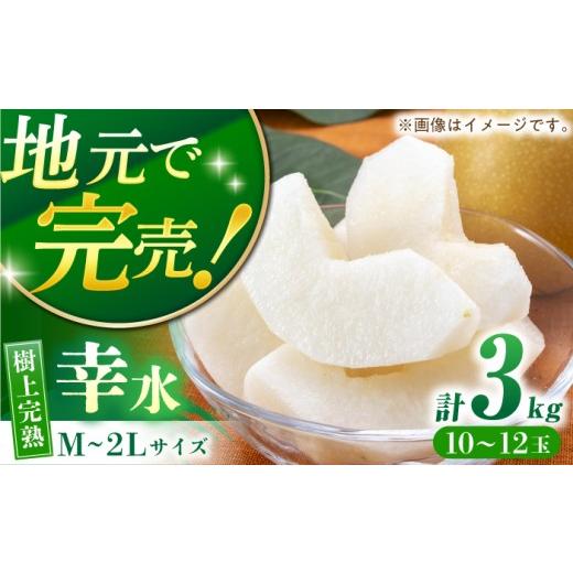 ふるさと納税 梨 長崎県 長与町 産地直送 幸水3kg箱 M-2Lサイズ(10-12個)ー2026年8月より発送ー 長与町/つじ梨園 ECO001 梨 なし ナシ 幸水 こうすい 果…