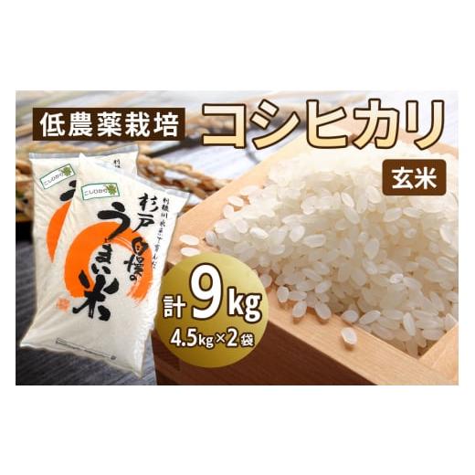 ふるさと納税 米 コシヒカリ 埼玉県 杉戸町 低農薬栽培のコシヒカリ[玄米]9kg (4.5kg×2袋)|おいしい お米 コメ こめ ご飯 ごはん 白米 玄米 お取り寄せ 直…