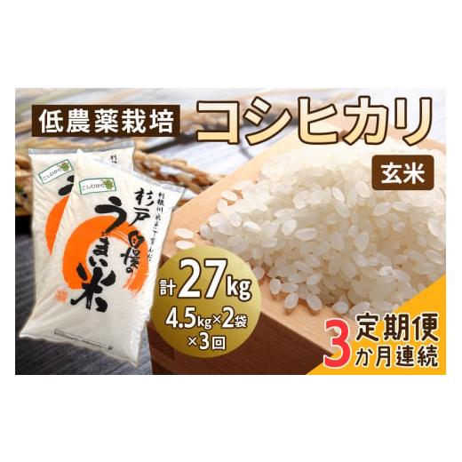ふるさと納税 米 コシヒカリ 埼玉県 杉戸町 定期便/3ヶ月 低農薬栽培のコシヒカリ[玄米]計27kg (4.5kg×2袋×3ヶ月連続)|おいしい お米 コメ こめ ご飯 …