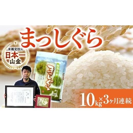 ふるさと納税 米 青森県 南部町  定期便 コメ鑑定技術日本一の山金 まっしぐら 10kg×3ヶ月連続（令和7年産） 白米 精米 米 お米 おこめ コメ 東北 青森県 南…の画像