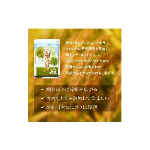 ふるさと納税 米 青森県 南部町  定期便 コメ鑑定技術日本一の山金 まっしぐら 10kg×3ヶ月連続（令和7年産） 白米 精米 米 お米 おこめ コメ 東北 青森県 南…の画像