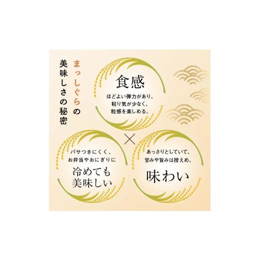 ふるさと納税 米 青森県 南部町  定期便 コメ鑑定技術日本一の山金 まっしぐら 10kg×3ヶ月連続（令和7年産） 白米 精米 米 お米 おこめ コメ 東北 青森県 南…の画像
