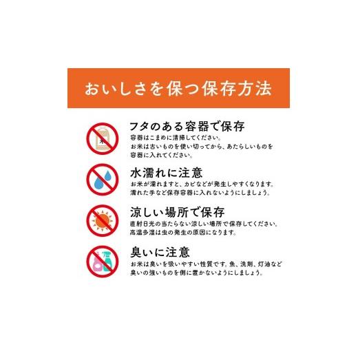 ふるさと納税 米 青森県 南部町  定期便 コメ鑑定技術日本一の山金 まっしぐら 10kg×3ヶ月連続（令和7年産） 白米 精米 米 お米 おこめ コメ 東北 青森県 南…の画像