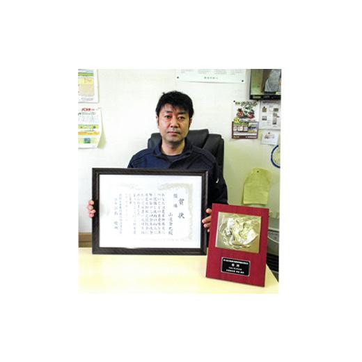 ふるさと納税 米 青森県 南部町  定期便 コメ鑑定技術日本一の山金 はれわたり 10kg×3ヶ月連続（令和7年産） 特A 白米 精米 米 お米 おこめ コメ 東北 青森県…の画像