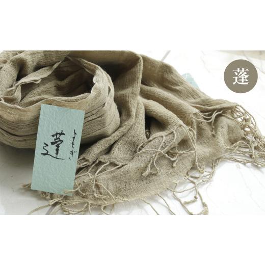 ふるさと納税 織物・繊維品 福岡県 岡垣町 草木染 綿ストール(大判)蓬 蓬 草木染 綿ストール(大判)