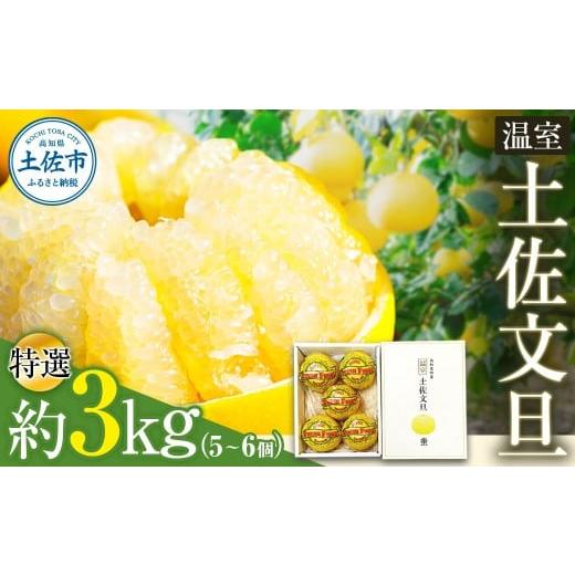 ふるさと納税 みかん・柑橘類 高知県 土佐市 温室土佐文旦 ブンタン ぶんたん 特選 約3kg 約3キロ 5~6個 2L~3Lサイズ 柑橘 かんきつ 柑橘類 フルーツ 果物 く…