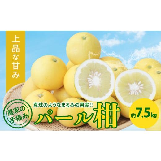 ふるさと納税 果物類 みかん 熊本県 天草市 S040-022_農家の手摘み パール柑 約7.5kg[先行受付] 先行予約 柑橘 約 7.5kg 天草産 果物 フルーツ 真珠 手摘み …
